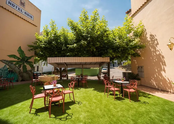 Hotel Roig
