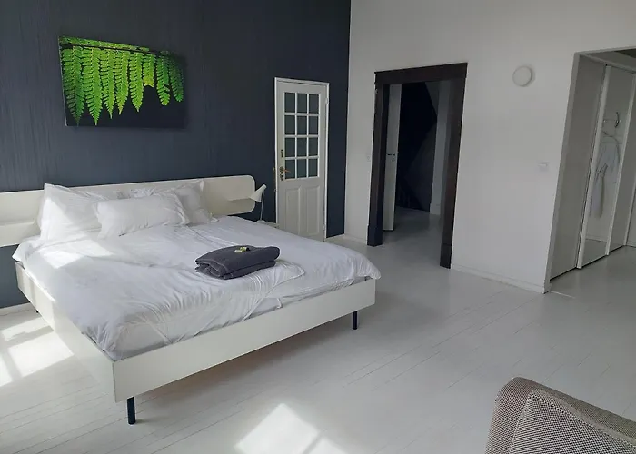 Bed&breakfast in monumental house maastricht centre