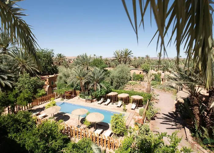 Ecolodge La Palmeraie