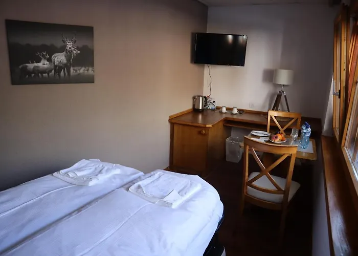 Grichting Hotel & Serviced Apartments