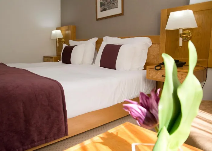 Hotel Rainha D. Amelia, Arts & Leisure