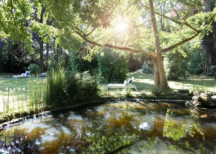 Le Jardin Des Plumes