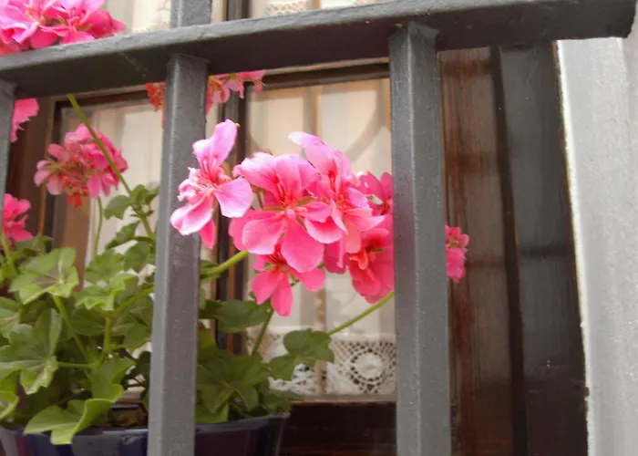 Hotel El Convento