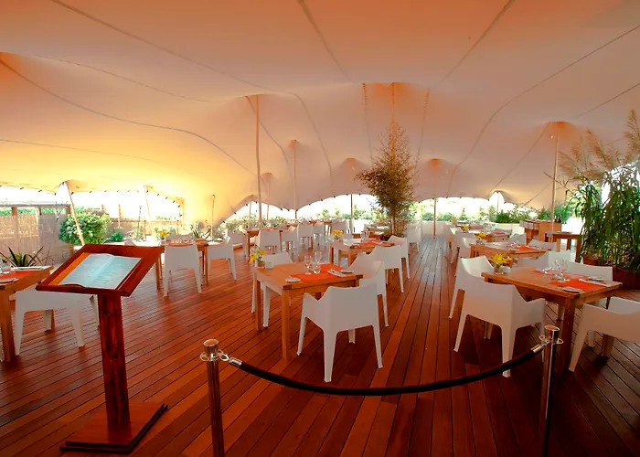 Insotel Hotel Formentera Playa