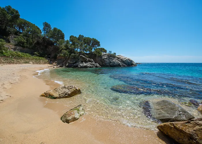 Hotel Cala Del Pi - Adults Only