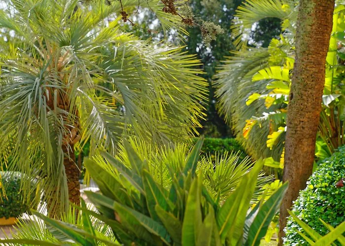 Radisson Hotel Cannes Seaside