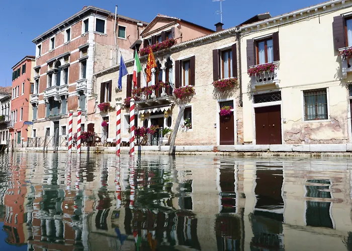 Ai Mori D'Oriente