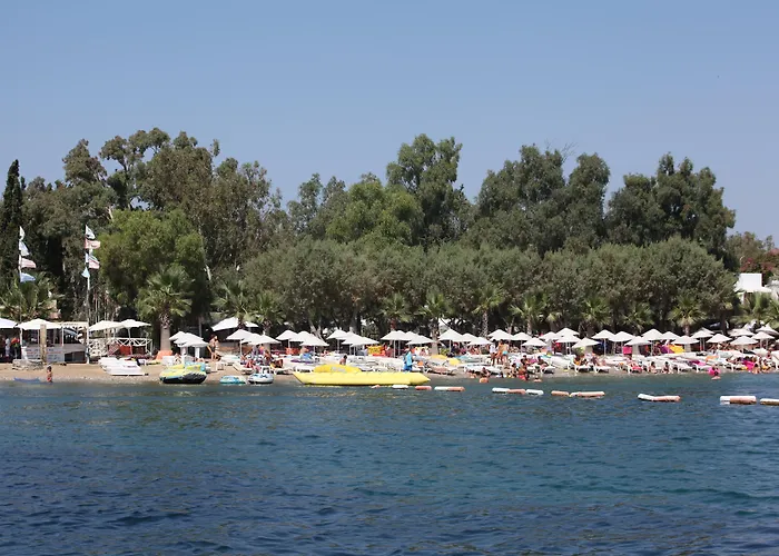 Okaliptus Otel