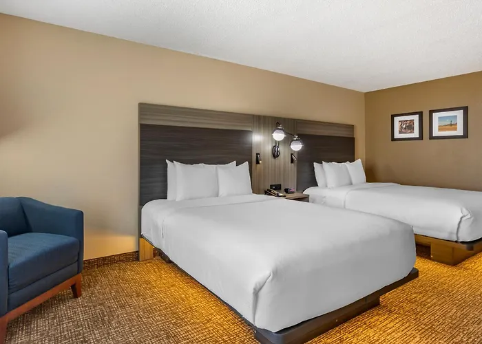 Comfort Inn & Suites North Dallas-Addison
