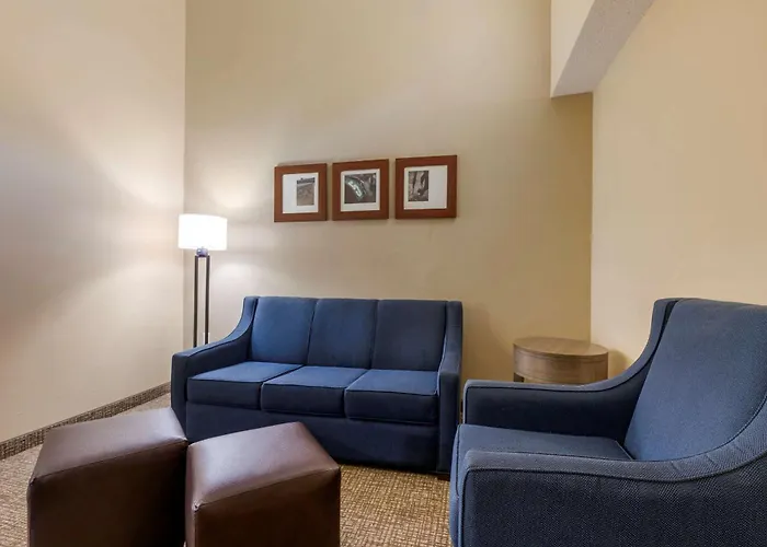 Comfort Suites Dfw Airport