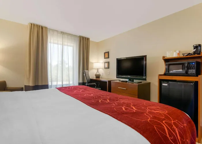 Comfort Inn & Suites Macon West