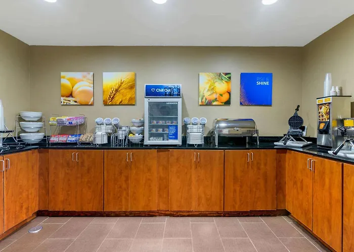 Comfort Inn&Suites Macon West