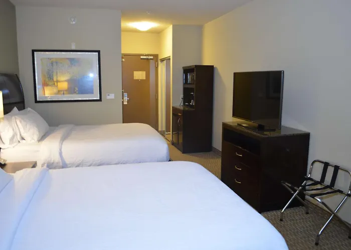 Hilton Garden Inn Houston-Pearland