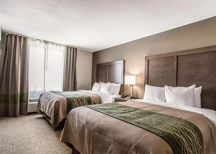 Comfort Inn & Suites Snyder