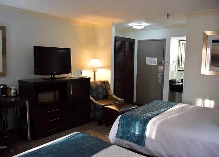 Best Western Webster Hotel, Nasa