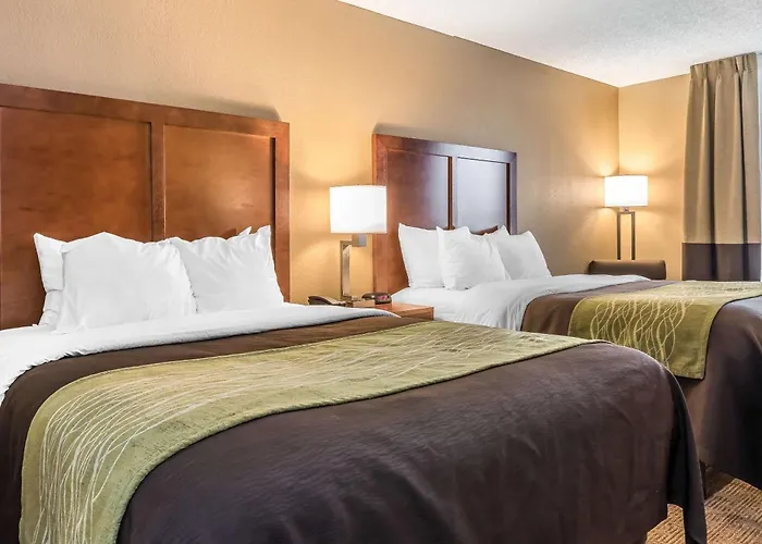 Comfort Inn & Suites Piqua-Near Troy-I75