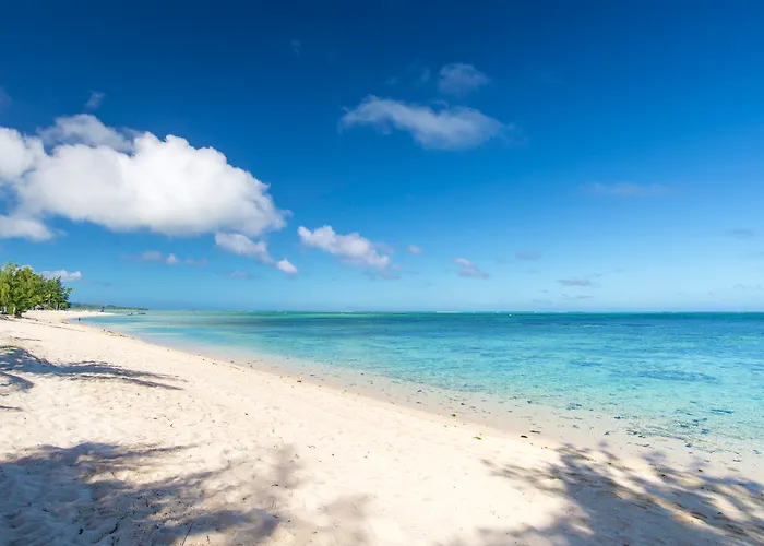 Riu Palace Mauritius "Solo Adultos"