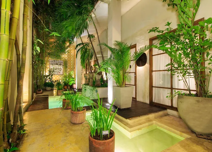 Hotel Casa Lola Deluxe Gallery