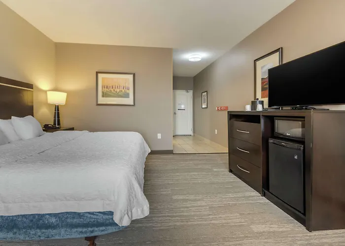 Hampton Inn Alamosa