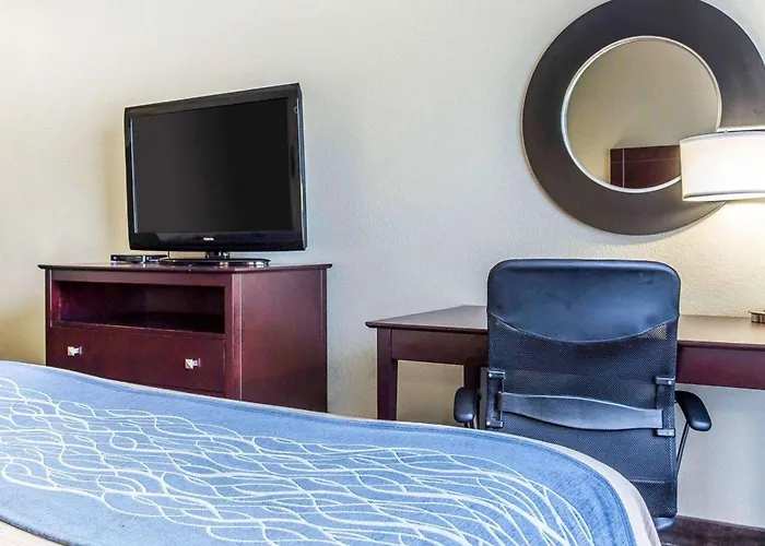 Comfort Inn & Suites Ballpark Area