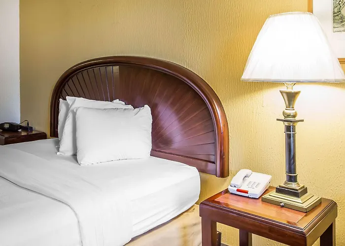 Econo Lodge Inn & Suites Carrollton