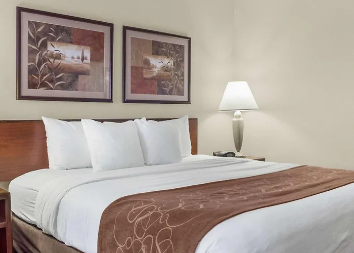 Comfort Inn Bismarck