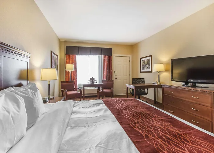 Comfort Hotel Airport