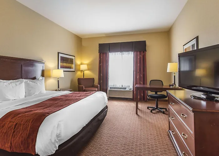 Comfort Hotel Airport