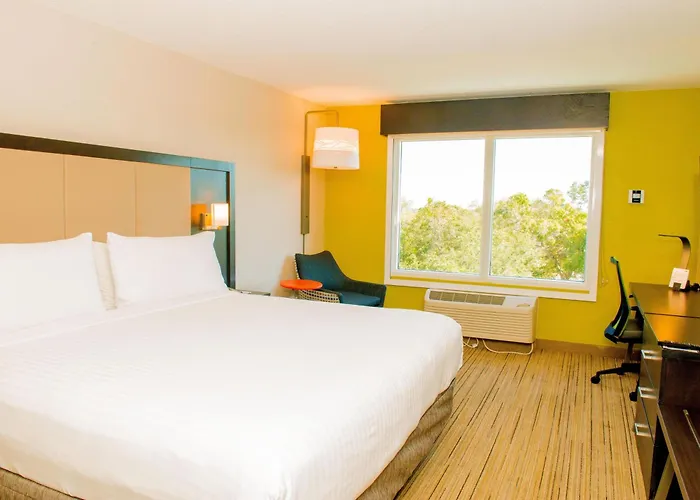 Holiday Inn Express & Suites St. Petersburg North