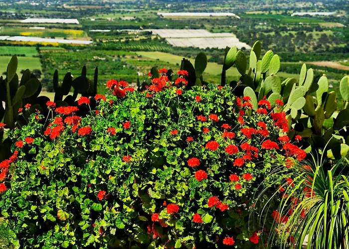 Kallikoros Country Resort & Spa
