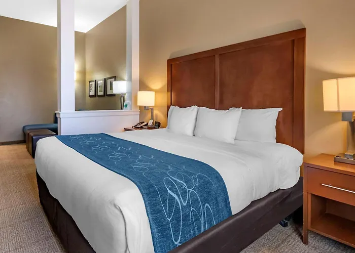 Comfort Suites Airport-University