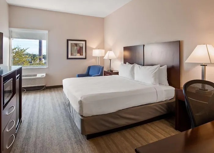 Best Western Tampa
