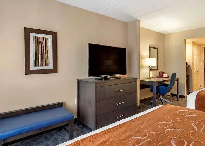 Comfort Suites Alpharetta-Roswell - Atlanta Area