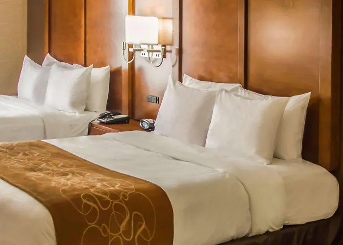 Quality Suites Nyc Gateway