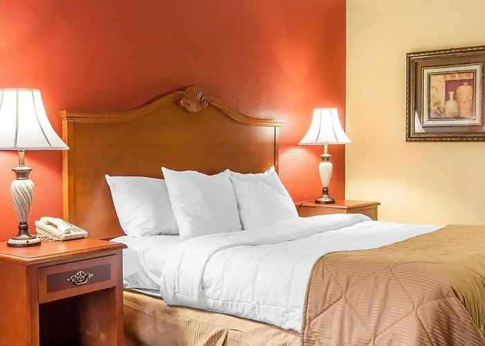 Clarion Inn & Suites University Center