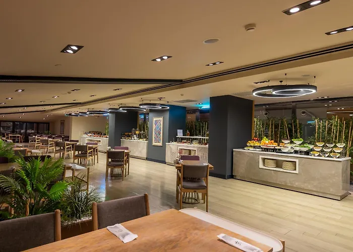 Holiday Inn Kayseri - Duvenonu By Ihg