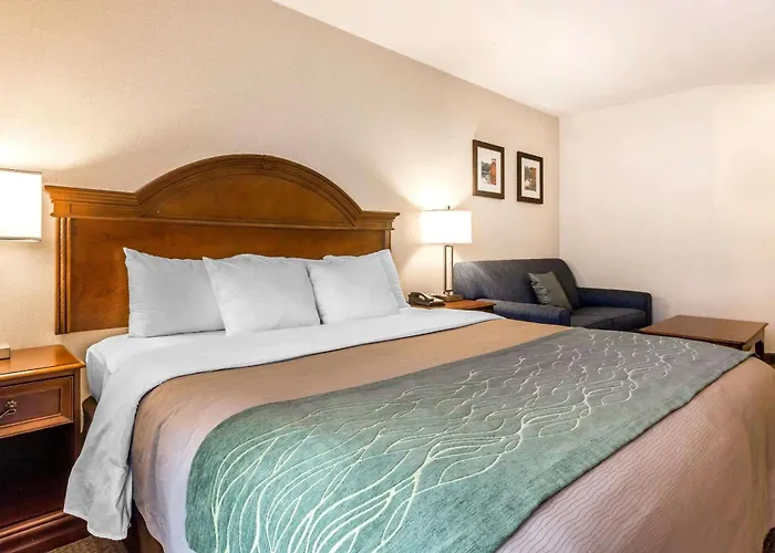 Comfort Inn & Suites South Burlington Near University
