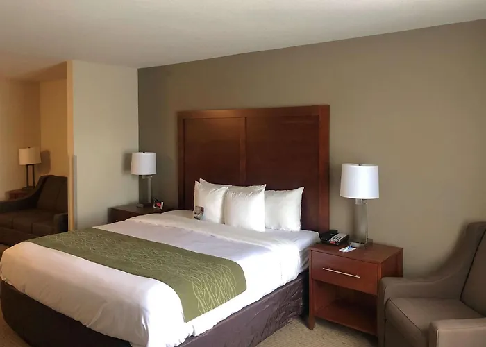 Comfort Inn & Suites