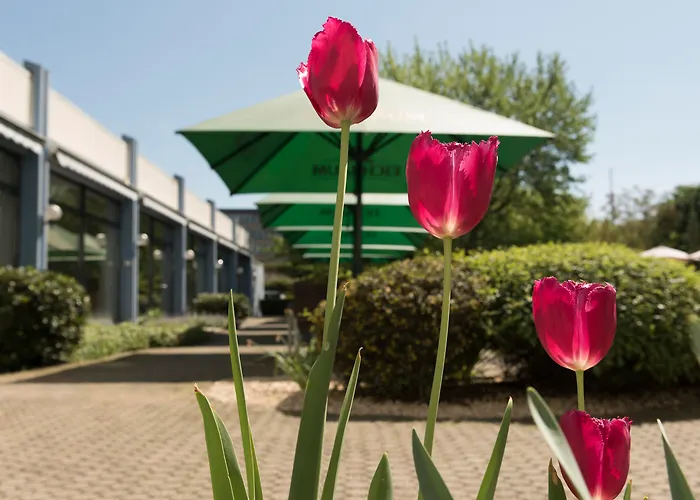 Mercure Hotel Mannheim Am Friedensplatz