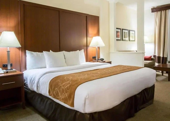 Comfort Suites Cumming-Atlanta Near Northside Hospital Forsyth