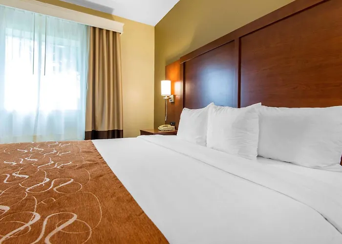 Comfort Suites Rochester Henrietta University Area