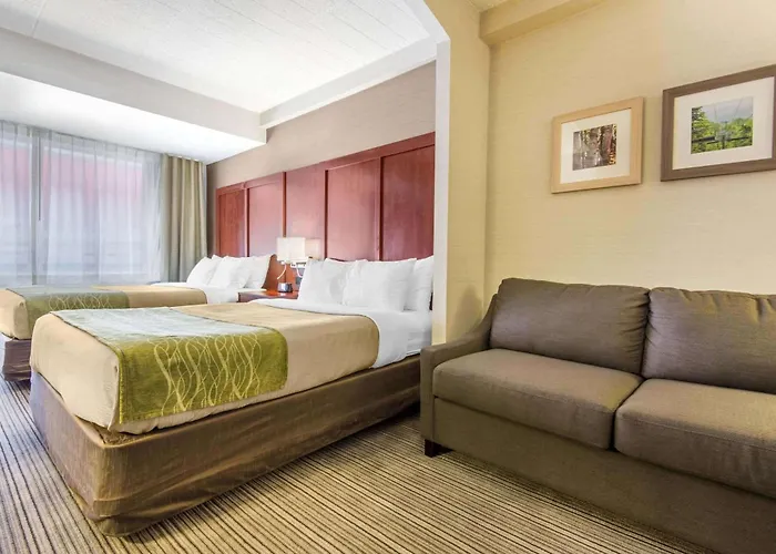 Comfort Inn & Suites