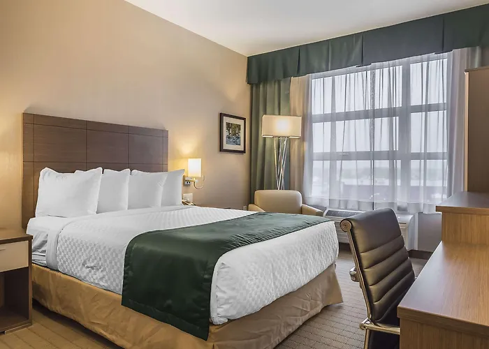 Quality Inn