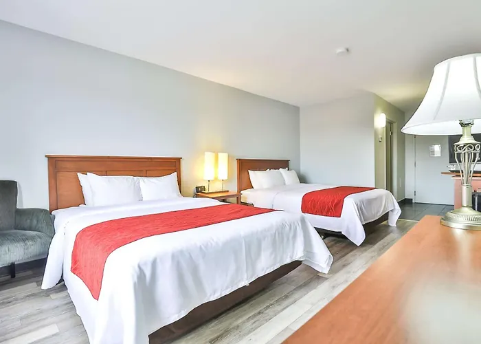 Comfort Inn & Suites