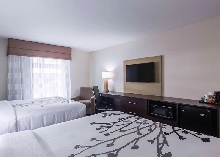 Sleep Inn & Suites Ingleside - Corpus Christi