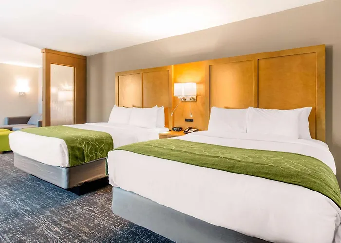 Comfort Suites North Charleston - Ashley Phosphate