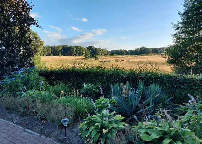 B&B De Oale Snieder