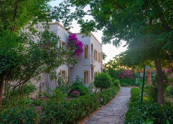 Museum Resort Spa