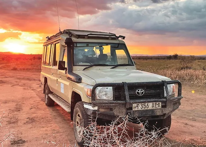 Foresight Eco Lodge&Safari