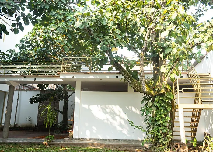 Green House Tarapoto